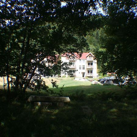 Residence Du Chateau Lublin La Bresse Buitenkant foto