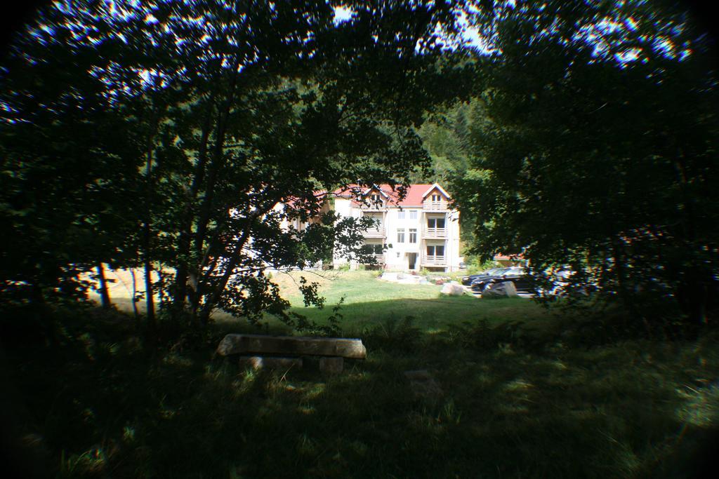 Residence Du Chateau Lublin La Bresse Buitenkant foto